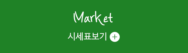 정일버스(티앤비상사)중고차시세표